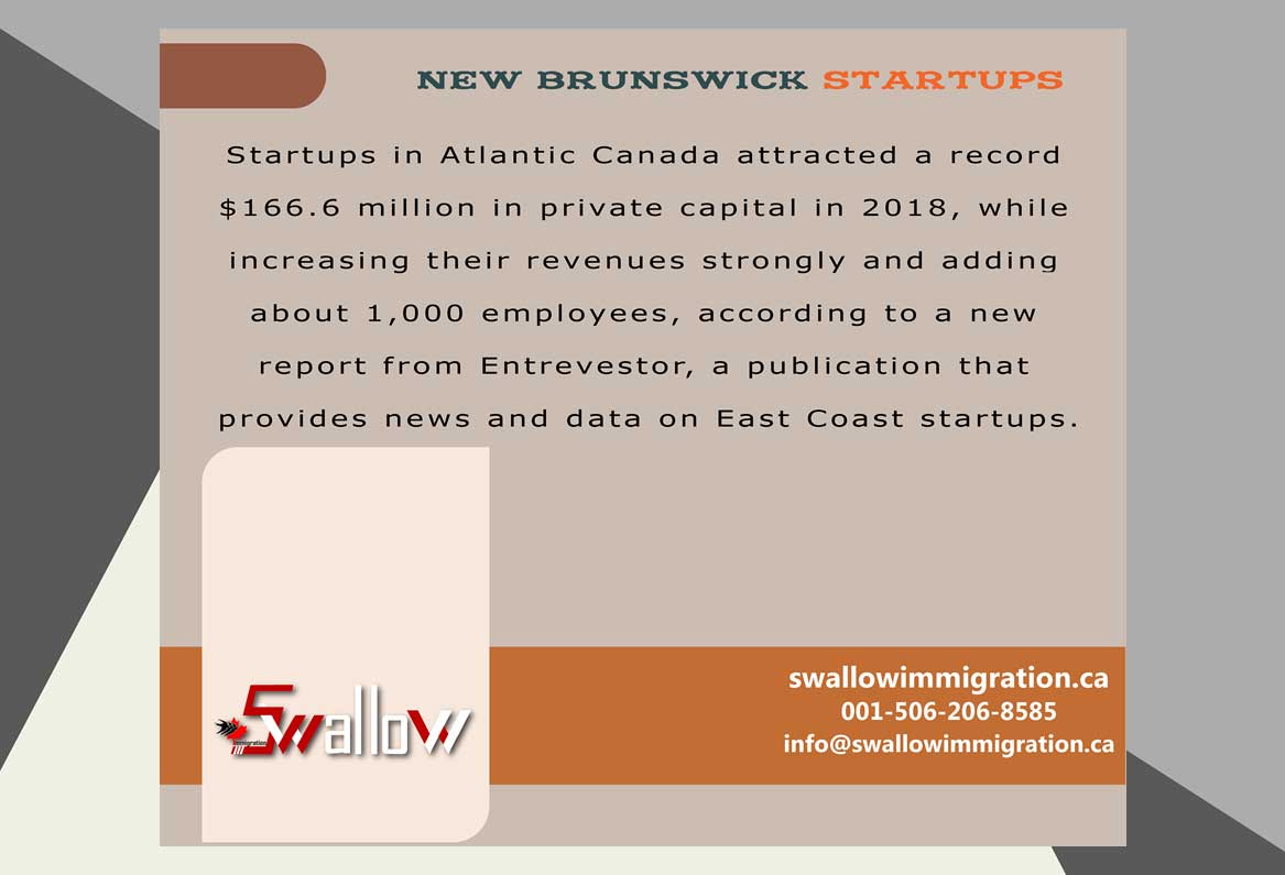 New Brunswick Startups