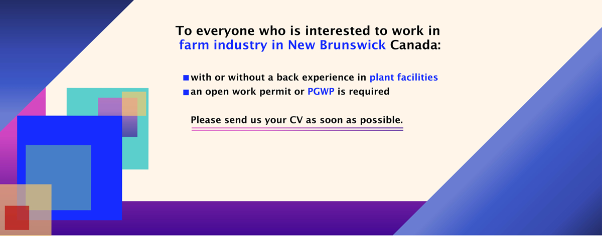 NB Farm industry
