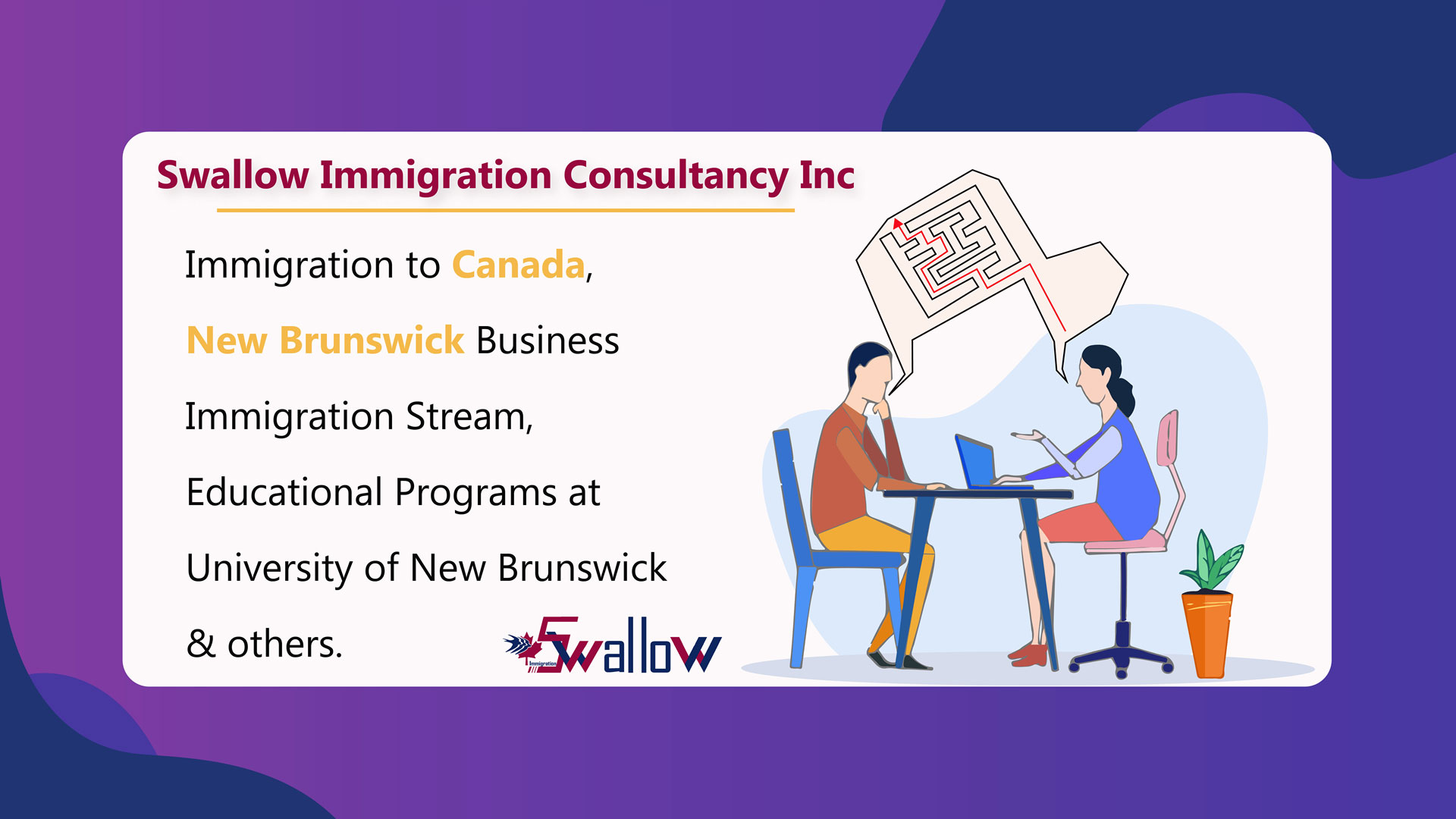 Swallow Immigration